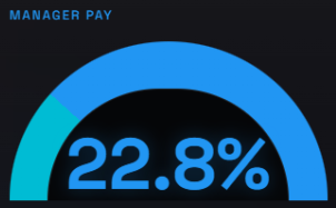 Gauge graphic showing a 22.8 percent manager pay gap